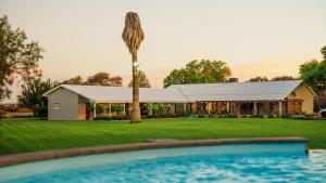 a house with a palm tree and a swimming pool at Jonkershoek Guest Farm in Kimberley