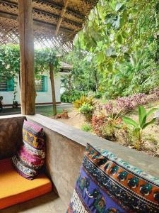 Taman di luar Lazy Monkey Surfhostel - Sri Lanka