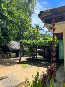 Taman di luar Lazy Monkey Surfhostel - Sri Lanka