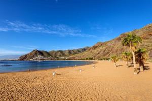 a sandy beach with palm trees and the ocean at Secret Location in San Andrés