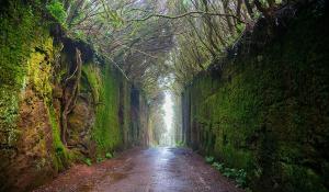 a narrow road in a tunnel with a green wall at Secret Location in San Andrés