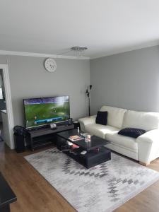 TV a/nebo společenská místnost v ubytování Comfortable zone
