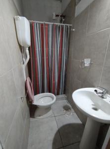 フォルモーサにあるDepartamento Planta Baja. Centro. Piletaのバスルーム(シャワー、トイレ、シンク付)