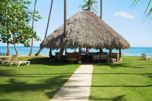 a straw hut on the beach with chairs and the ocean at Appartement à Monte Buena Vista in Las Terrenas