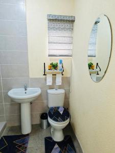 a bathroom with a toilet and a sink and a mirror at The Rose @ C-rane Lodge in Phalaborwa