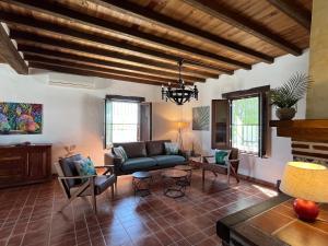 - un salon avec un canapé et des chaises dans l'établissement Casa del Burro Perezoso, à Almáchar