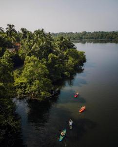 two boats on a river with trees in the water at Relax Beach House in Tangalle
