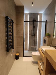 a bathroom with a shower and a toilet and a sink at Apartament Ustrońska Jodełka z Sauną-Nadrzeczna in Ustroń