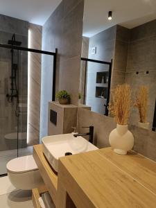 a bathroom with a toilet and a sink and a shower at Apartament Ustrońska Jodełka z Balią i Ogrodem-Nadrzeczna in Ustroń
