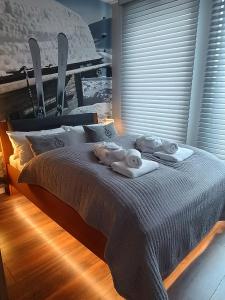 Posteľ alebo postele v izbe v ubytovaní Apartament Madlen Kalinowa Szczyrk Sauna Grota Solna