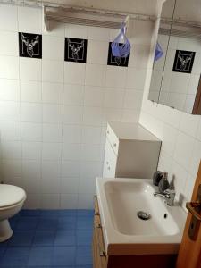 een badkamer met een wastafel en een toilet bij Maisonnette de montagne in Ollomont