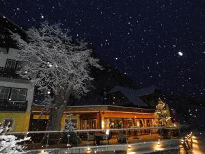 a building with a tree in front of it at night at Gasthof Trattner Pension Waldhof in Sankt Peter am Kammersberg