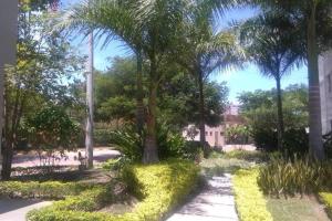 um parque com palmeiras e um passeio em Precioso apto con un aire acondicionado en la Sala em Ricaurte