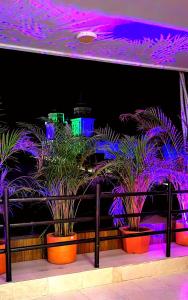 キブドにあるHOTEL BOHO BOUTIQUEの紫色の灯りを持つ部屋の鉢植えの植物