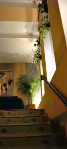 eine Treppe mit Topfpflanzen in einem Gebäude in der Unterkunft HOTEL BOHO BOUTIQUE in Quibdó