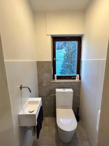 uma casa de banho com um WC, um lavatório e uma janela em Apartment - Über den Wolken em Batschuns