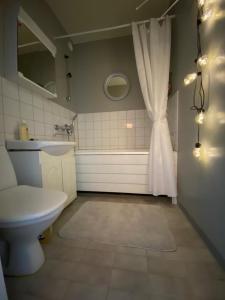 a bathroom with a toilet and a sink and a shower at Style 1BR Appartment in Kemi - Tornio in Kemi