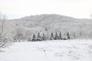 a snow covered field with trees and a mountain at Beatnik Hotel in Bromont