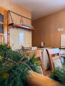 - une cuisine avec un évier et un comptoir dans l'établissement Pokoje i Apartamenty Regionalny Styl ul Bachledy 41 Zakopane, à Zakopane