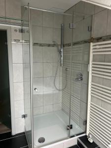 a shower with a glass door in a bathroom at Saarbrücken City Saar in Saarbrücken