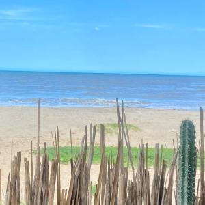 une clôture sur la plage avec un cactus dans l'établissement OCEAN BEACH, à Ríohacha