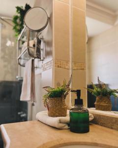 a bathroom sink with a soap dispenser and two plants at Yogi hostel boutique in Santiago