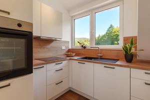 a kitchen with white cabinets and a sink and two windows at Grünewaldhof in Rimbach im Odenwald in Rimbach