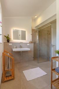 W łazience znajduje się umywalka i prysznic. w obiekcie Grünewaldhof in Rimbach im Odenwald w mieście Rimbach
