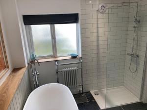 a bathroom with a toilet and a glass shower at Luxurious cottage in the heart of Falmouth in Falmouth