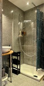 a bathroom with a shower and a sink at Le Studio Grimaldi in Ostend