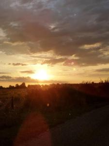 un tramonto su un campo con il sole nel cielo di Petite maison troglodyte a Le Grand-Pressigny