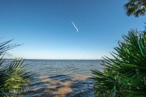 Blick auf das Meer von einem Strand mit Palmen in der Unterkunft Florida Space Coast Waterfront Retreat in Cocoa