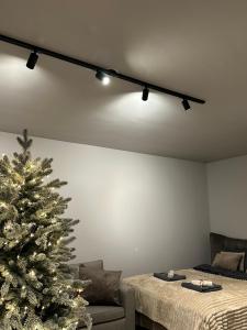 a living room with a christmas tree and a bed at modern studio @ city center in Rovaniemi