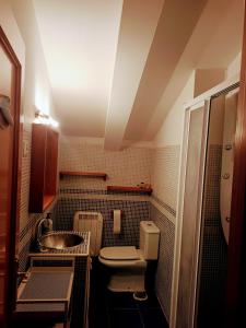 a small bathroom with a sink and a toilet at Arrabal de Santa María in Sigüenza