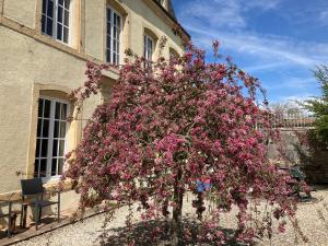 un arbre recouvert de fleurs roses devant un bâtiment dans l'établissement Maison Les Beaux Arts, à Mouzay