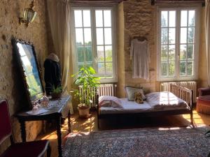 Cette chambre comprend un lit, un miroir et des fenêtres. dans l'établissement Maison Les Beaux Arts, à Mouzay