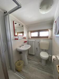 La salle de bains est pourvue de toilettes et d'un lavabo. dans l'établissement Casa per Ferie Villa Romagna, à Pozza di Fassa