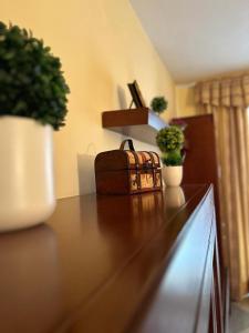 un mostrador de madera con plantas y un maletín en Casa Ancá Los Abuelos, en Rute