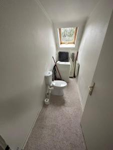 ein kleines Bad mit einem WC und einem Fenster in der Unterkunft Joli appartement 2 chambres face gare in Forbach