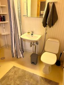 uma casa de banho com um WC branco e um lavatório. em Apartment Ahkio North em Rovaniemi