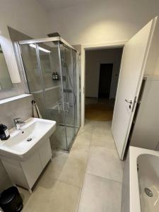 ein Bad mit einer Glasdusche und einem Waschbecken in der Unterkunft Comfort Apartment in Lörrach