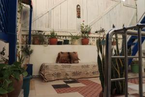 Fotografie z fotogalerie ubytování Asala Guest House v destinaci Taghazout