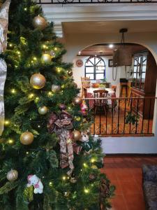 een kerstboom in de theoyer van een huis bij Casa de campo Huasca in Huasca de Ocampo
