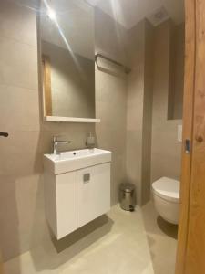 a bathroom with a white sink and a toilet at Apartments Natalija - Zlatni Javor in Jahorina