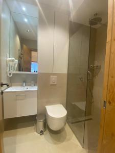 a bathroom with a shower and a toilet and a sink at Apartments Natalija - Zlatni Javor in Jahorina
