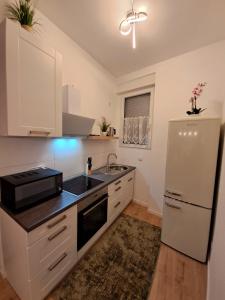 a kitchen with a white refrigerator and a sink at Bopparder Balz-Platz in Boppard
