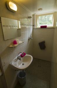 a bathroom with a sink and a mirror at Hotel-Pension Zoom-Oord in Renesse