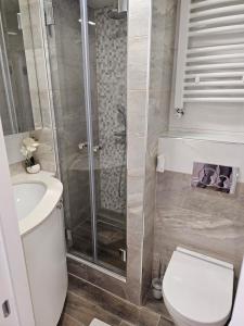 a bathroom with a shower and a toilet and a sink at Apartman Maglic 412 Lux in Kopaonik +18 photos