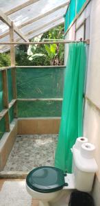 a bathroom with a toilet and a green shower curtain at Life for Life Hostel Drake Bay Home of Sea Turtle Marine Conservation Project Osa Peninsula near San Josecito Beach in Drake