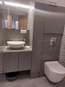a bathroom with a sink and a toilet and a mirror at Bee Happy Apartament Wrzesnia ll in Września